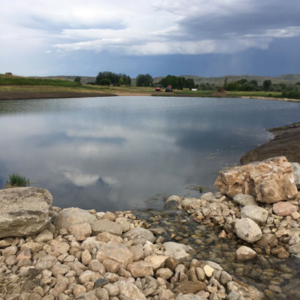 pond 1