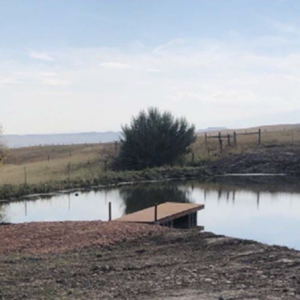 pond 2