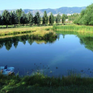 pond 4