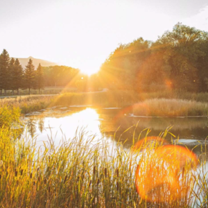 pond 5