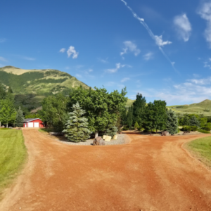 road 6